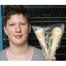 PARSNIPS (2 per bag)  SOUTHLAND Grown